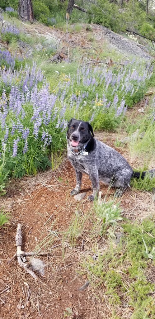 kyla hiking summer 2021